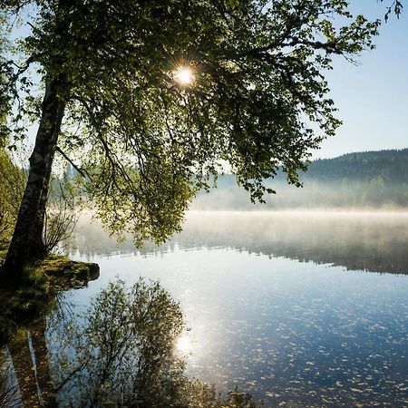 Ferienwohnung Am Schwellenweiher Feldberg  Exteriör bild