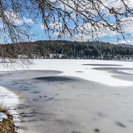 Ferienwohnung Am Schwellenweiher Feldberg  Exteriör bild