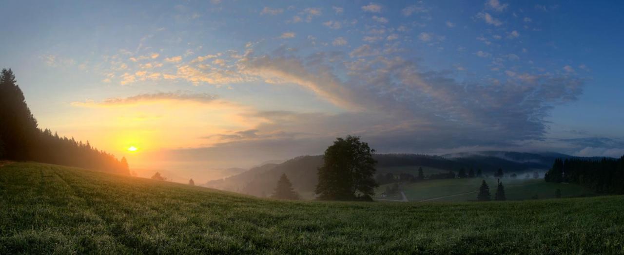 Ferienwohnung Am Schwellenweiher Feldberg  Exteriör bild