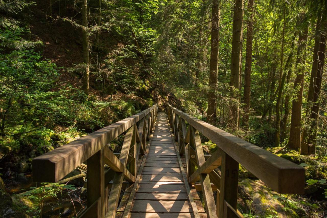 Ferienwohnung Am Schwellenweiher Feldberg  Exteriör bild