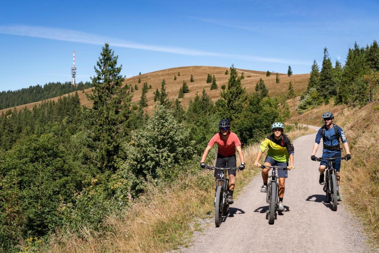 Ferienwohnung Am Schwellenweiher Feldberg  Exteriör bild