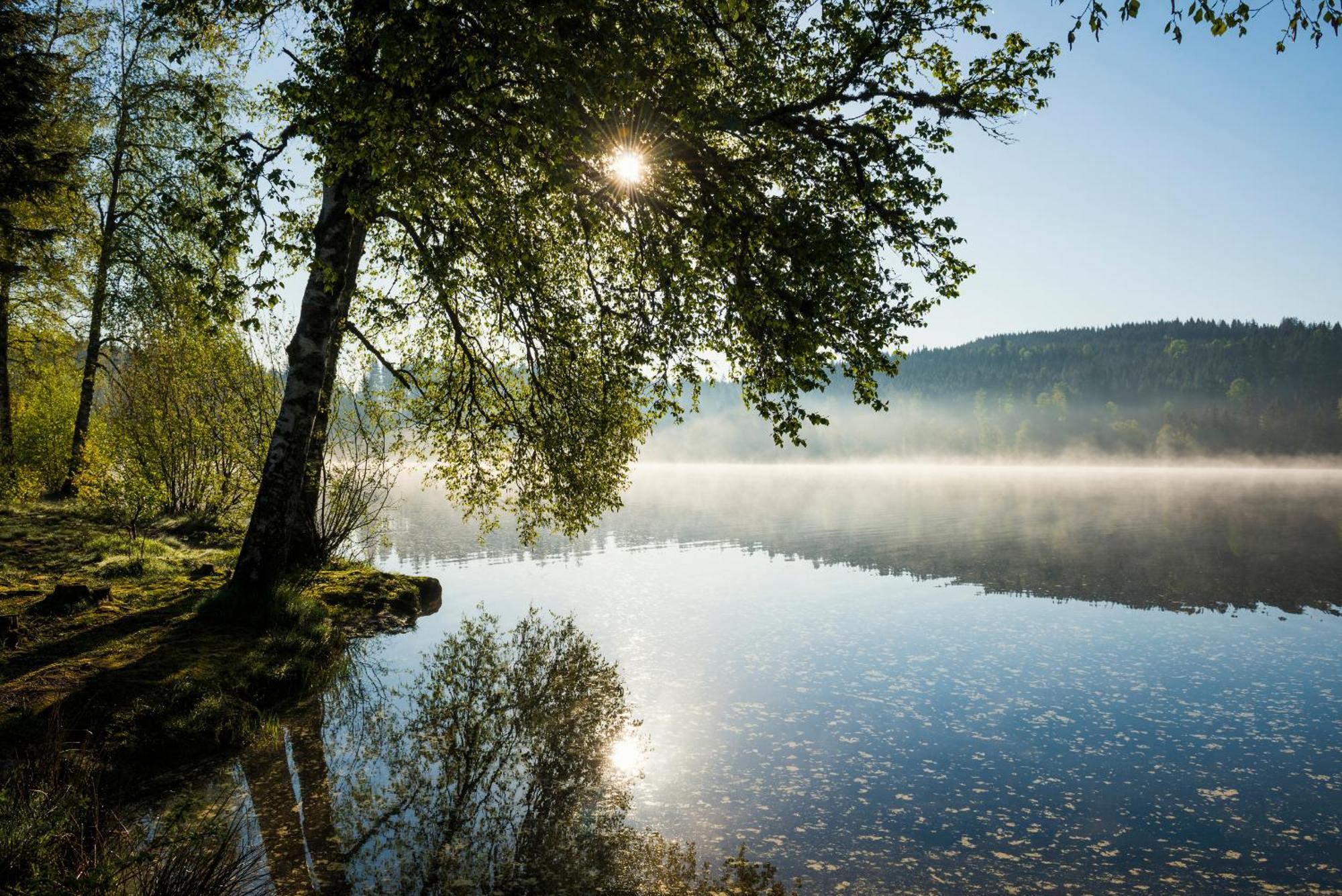 Ferienwohnung Am Schwellenweiher Feldberg  Exteriör bild
