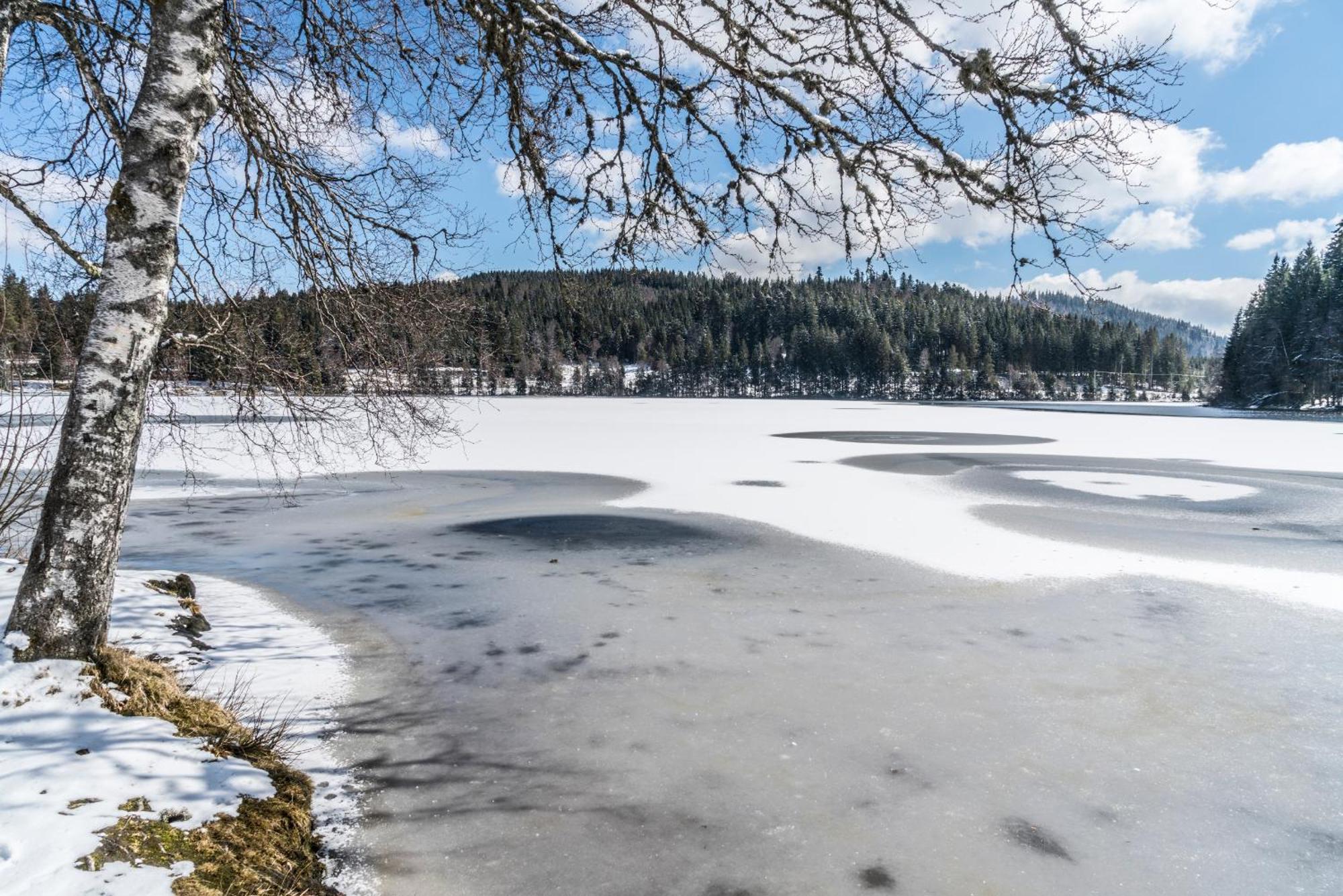 Ferienwohnung Am Schwellenweiher Feldberg  Exteriör bild