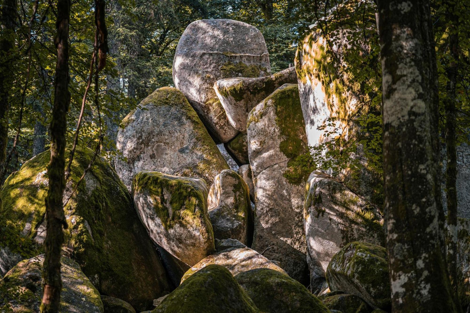 Ferienwohnung Am Schwellenweiher Feldberg  Exteriör bild
