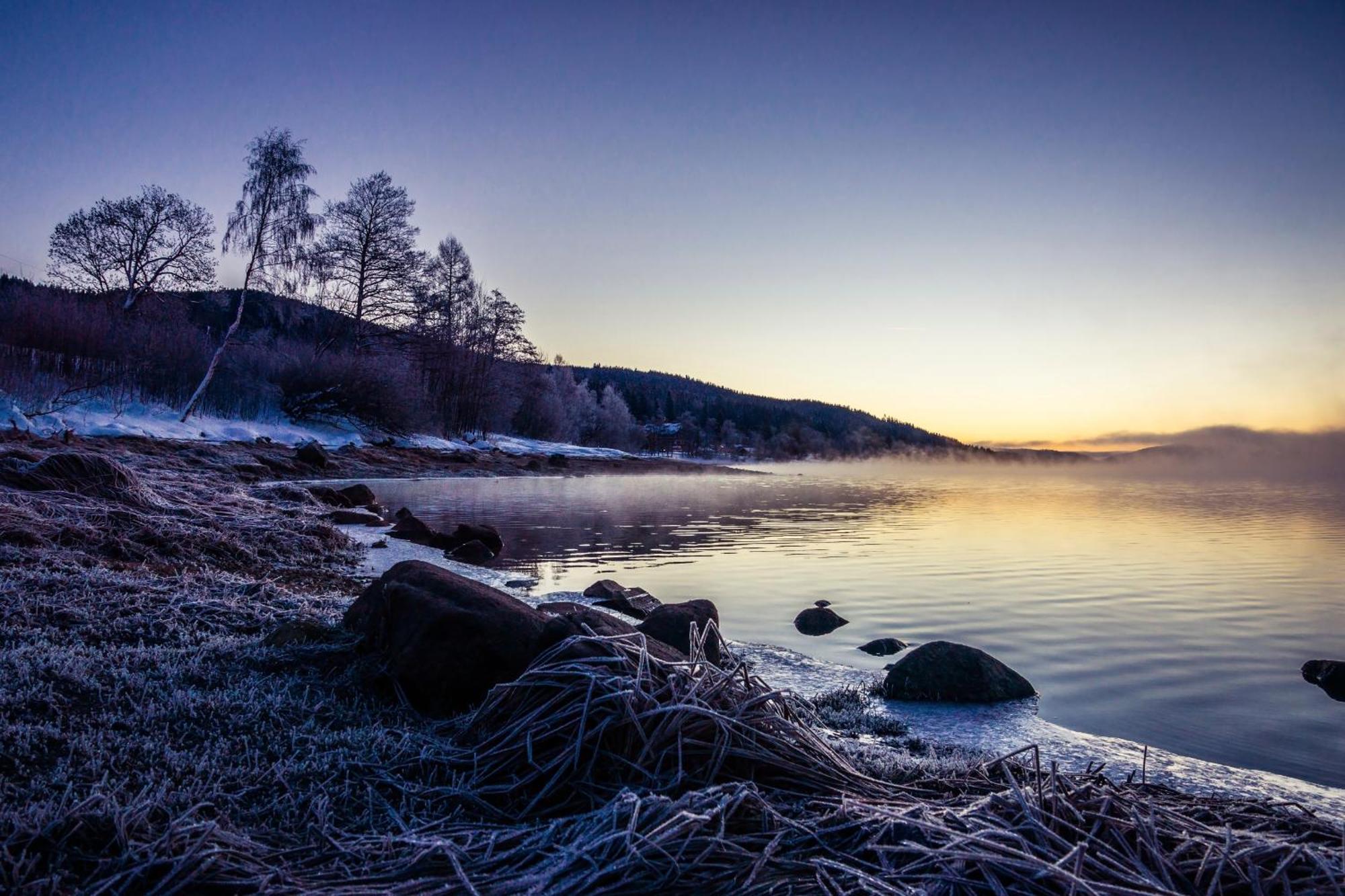 Ferienwohnung Am Schwellenweiher Feldberg  Exteriör bild