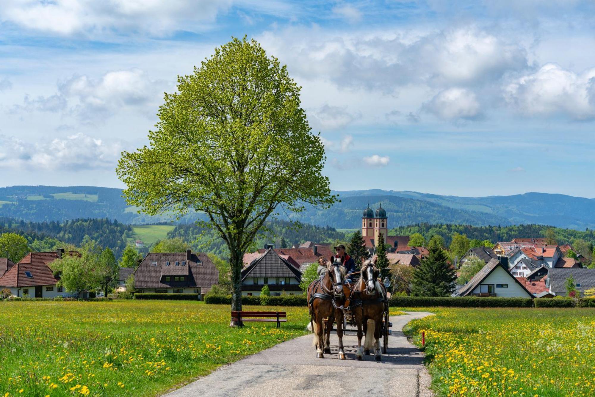 Ferienwohnung Am Schwellenweiher Feldberg  Exteriör bild
